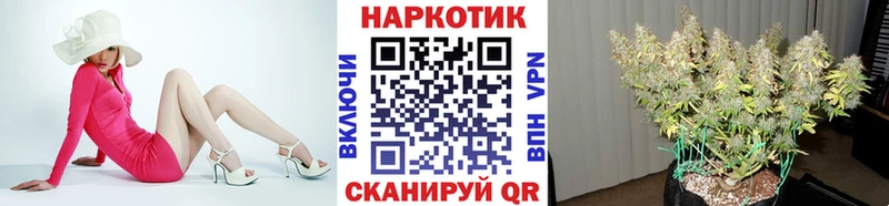 Какие есть наркотики Курган ГАШ А ПВП МЕФ
