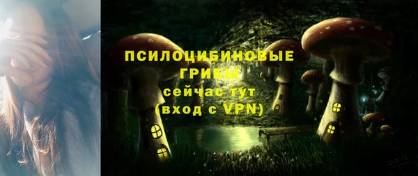 дживик Верея
