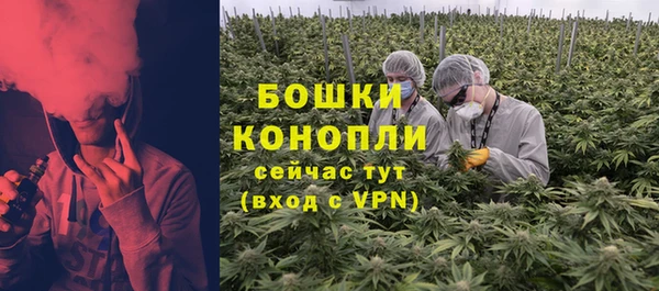 дживик Верея