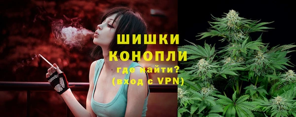 дживик Верея