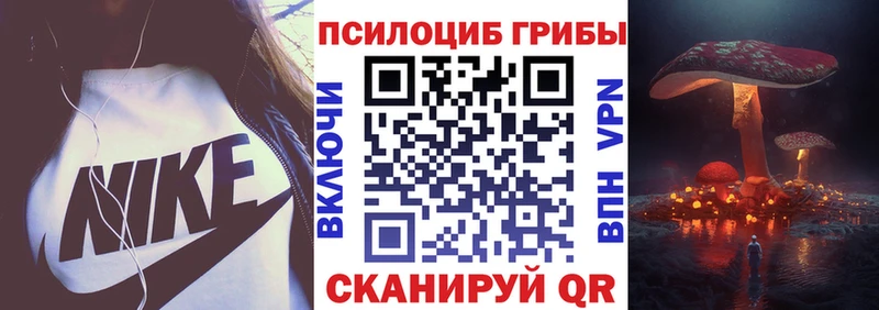 Галлюциногенные грибы Psilocybe  Курган 